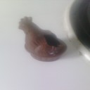 jade lambert - @kikilolo2002 - Twitter