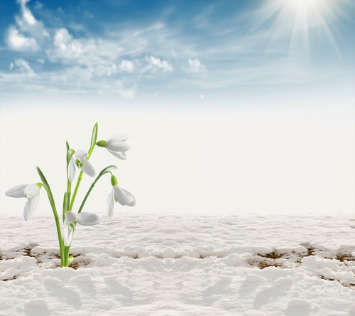 صالح العمري‎