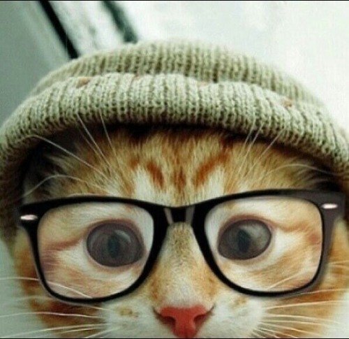 EsteticistaCrdb's profile picture. 