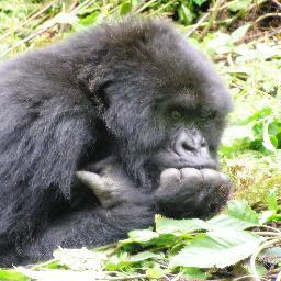 BobDee12's profile picture. "To stand in silence when they should be protesting makes cowards of men”. Abraham  Lincoln.