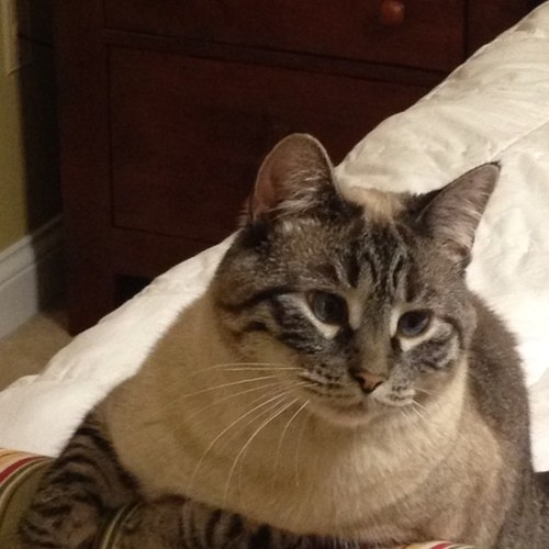 DCarpenter61's profile picture. 