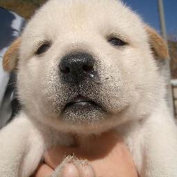 名言系が好きなので、その辺まとめてつぶやいています。お気に入っていただければ幸いです＾＾