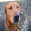 Joel Mcdowell - @JoelMcdowell2 - Twitter