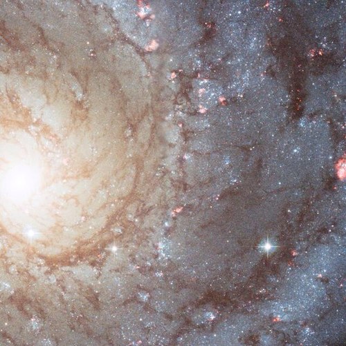 Robstarr22's profile picture. 