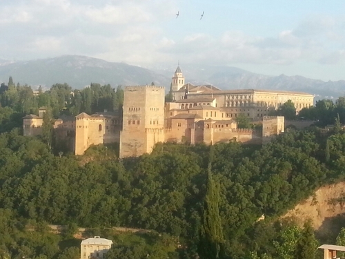 Kowalski8080's profile picture. 