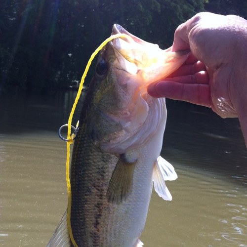 #father #husband #BAMA Fan #ANG117, Born & Raised in #Alabama #fishing #kayaking #outdoors #lifeisgood