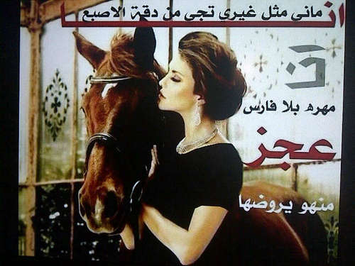 AreejShafi's profile picture. ‏انثى اثارت تمردها على الورق شغفها ان تظل دائما تتملك احلاما لا تتحقق...خواطري فالمفضلة..