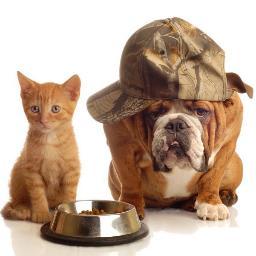 PetShop est une entreprise destiné au monde animalier.