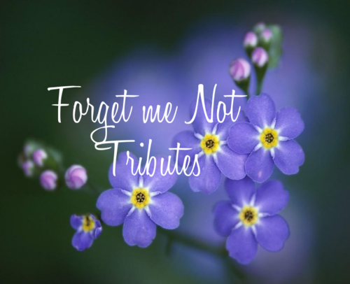 Forget me Not Tributes, making beautiful films to commemorate, remember and celebrate loved ones. Specialising in Life Story films helping those with dementia.