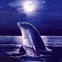 william rincon c - @williamrinconc - Twitter