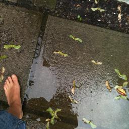 Renitax4's profile picture. 