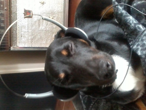 Emotions65's profile picture. 