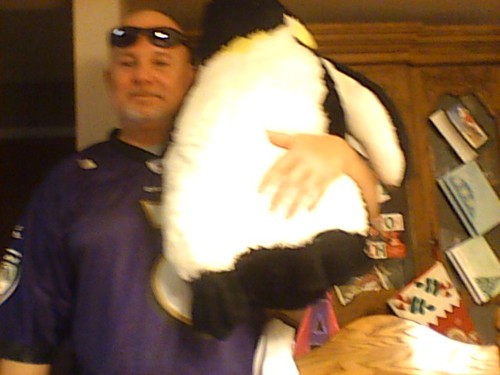 corgilover123's profile picture. o