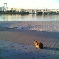 kagenobu (@koekawa) Twitter profile photo