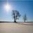 mywords2tweet's profile image