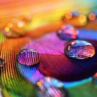 CO Fine Art & Craft (@ccsshows) 's Twitter Profile