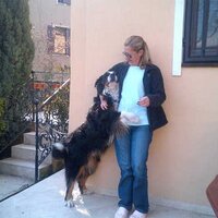 Sedef Baykal Arslan (@sedefarslan1) 's Twitter Profile