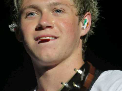 idk men i just love one direction