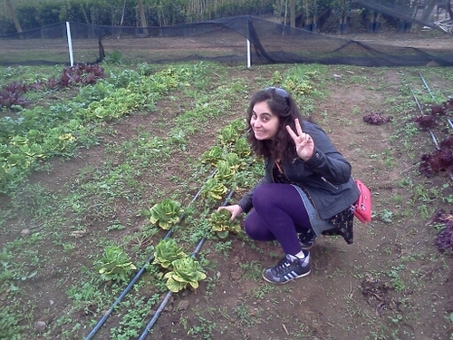 laurislechuga's profile picture. 