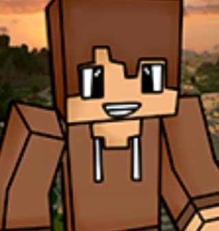 Um Carinha Gamer que faz videos de minecraft entre outro para o YouTube