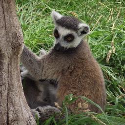 PictureThatShop's profile picture. Hello! My names Claire I am a photographer and Artist. The natural world fascinates me and I love capture all environments that surrounds us.