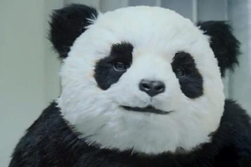 Dave_yardo's profile picture. #CruzAzul #IgnoradoWarrior #Informatico 