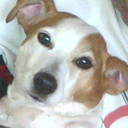 Sharon Mcgowan - @Shaz0Mcgowan - Twitter