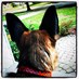 Andrea (@apilo75) Twitter profile photo