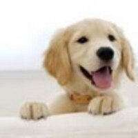 jen (@jenmd02) 's Twitter Profile