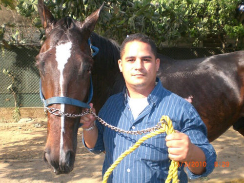 AMANTE DEL HIPISMO.