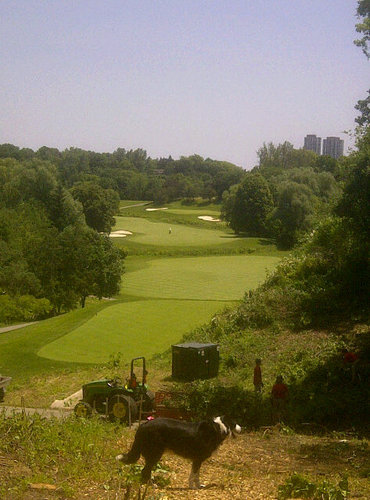 Golf Course and Grounds Manager at Donalda Club.