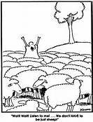 PSzymeczek's profile picture. THS and GGU alum, Contract Specialist, Amateur genealogist, Progressive.