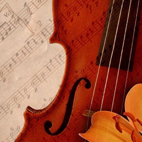 Sophi314M's profile picture. I'm a #motavator and my absolute hero is @BethanyMota