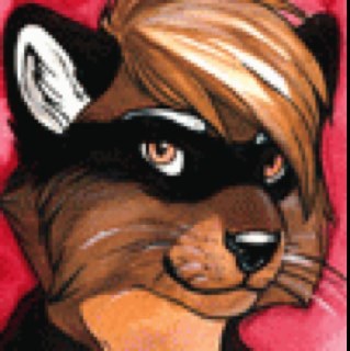 Shawn_Racoon's profile picture. Shawn raccoon here bitches! I can steal from whoever! I have faith.. I must use it in a polite way.... FFFFF! Yeah right!!! I get in jail alot im #Male and #Bi