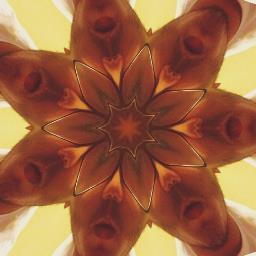Hi