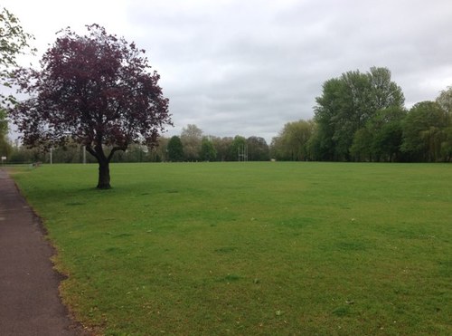 AmyWinchesterMW's profile picture. Winchester Memory Walk in partnership with Bupa Care Homes