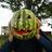 Cefe_Cadenas's profile image