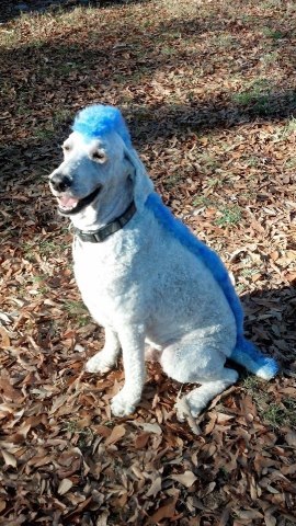 dave197198's profile picture. 