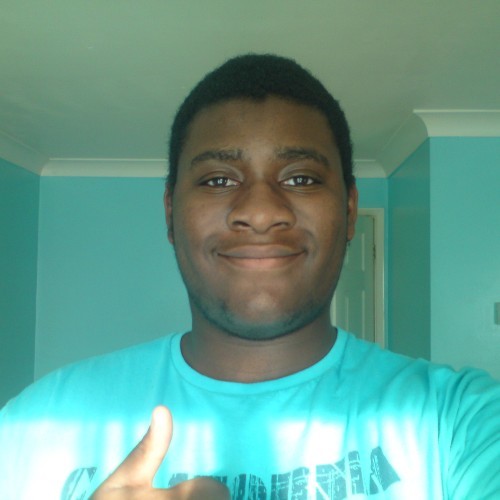 I'm a gamer with american accent, I like Mario, Tekken, Street Fighter, Super Smash Bros & anime and I can uploads my MK8 & Smash replays to my youtube.