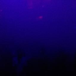 _flexam's profile picture. 