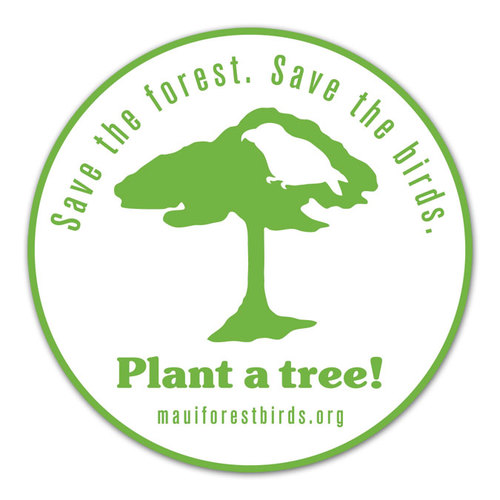 MauiForestBirds's profile picture. Maui Forest Bird Recovery Project's mission is to recover Maui's endangered birds and to restore their habitats.