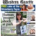Western Gazette (@wgcrewkerne) Twitter profile photo Western Gazette (@wgcrewkerne) Twitter profile photo