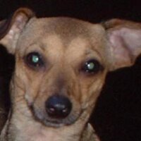 Darfinity (@darfinitylane) 's Twitter Profile