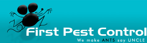 1stpestcontrol's profile picture. 