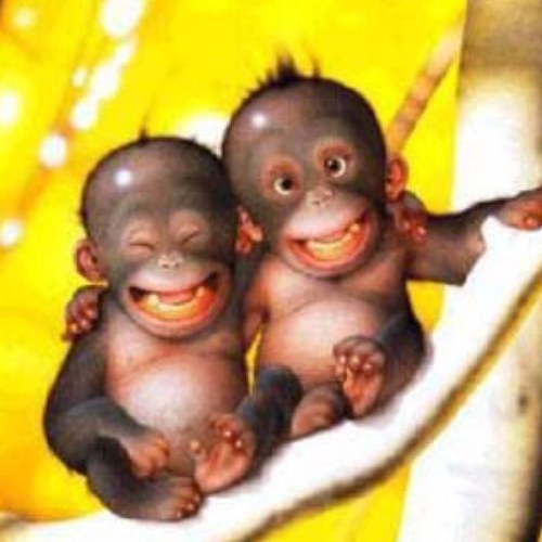 LachenOmFeitjes's profile picture. 