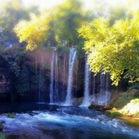 الدكتور متفائل (@daimondq8) 's Twitter Profile