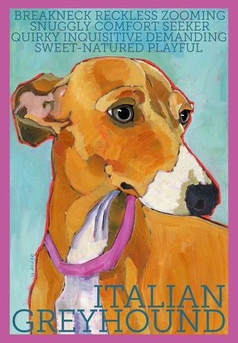 Flashster49's profile picture. Mom of 3, mum mum of 1, Conservative, God and country. Lover of Italian Greyhounds (RIP Tai 2009-2016), and Whippets. #TRUMP2024 #MAGA #VOTERED2026 🇺🇸🇺🇸🇺🇸