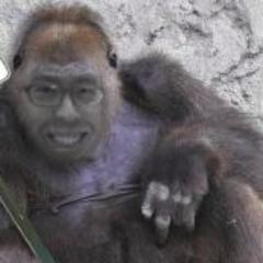 ShitRichieSays_'s profile picture. Gorilla Marketer, Phone Hustler