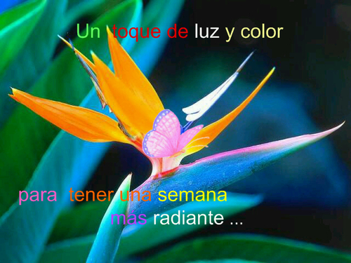 yrasalazar's profile picture. 