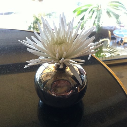 h_s57's profile picture. 